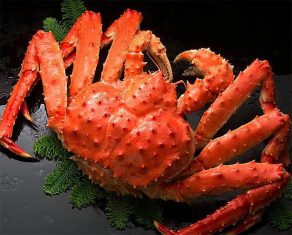 đặc sản phú yên